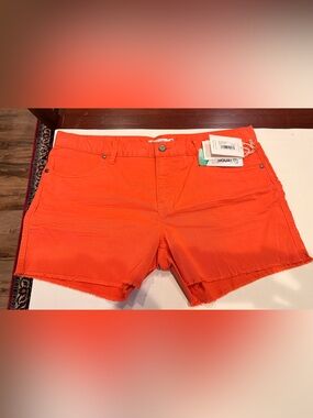 Women's Orange Casual Cutoff Shorts
